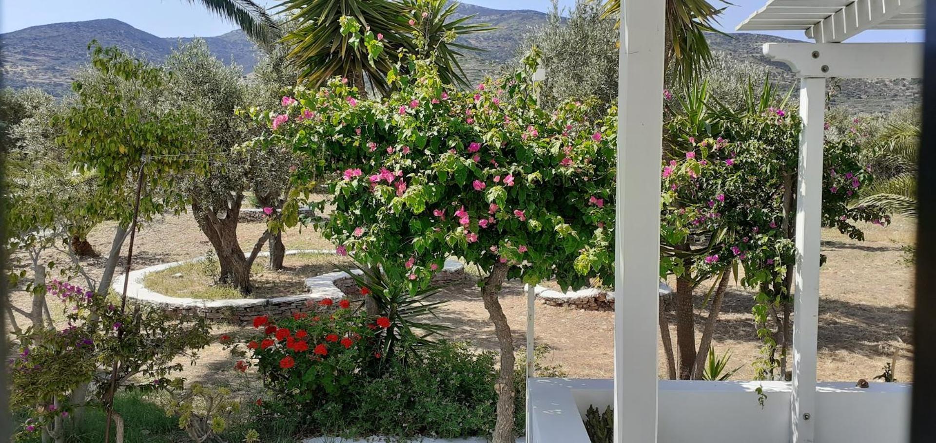 Elisso Villas Platis Gialos  Exterior photo